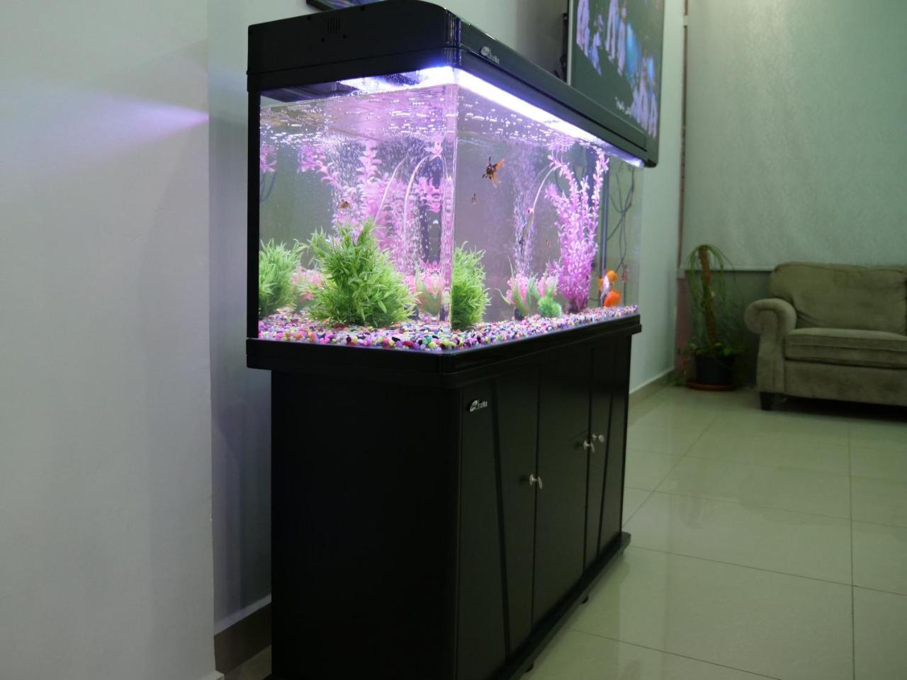 Heidelberg Apartment Kuwait City Bagian luar foto